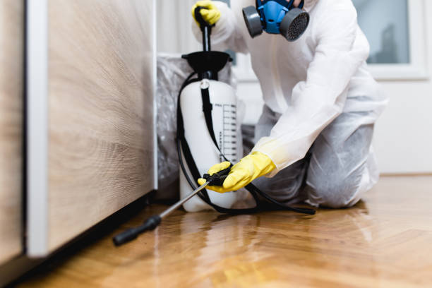 Best Emergency Pest Control  in Woodward, IA