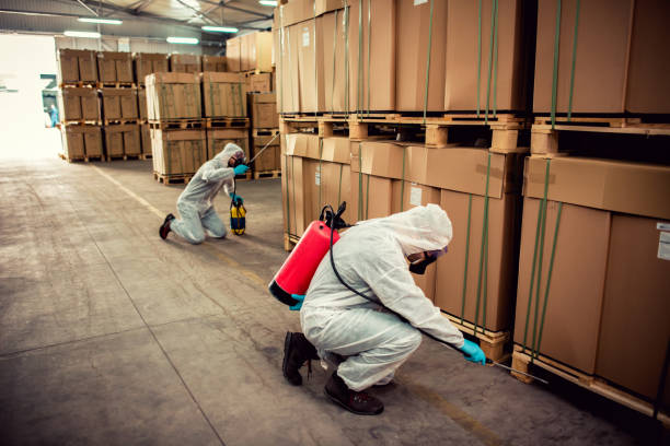 Trusted Woodward, IA Pest Control Experts