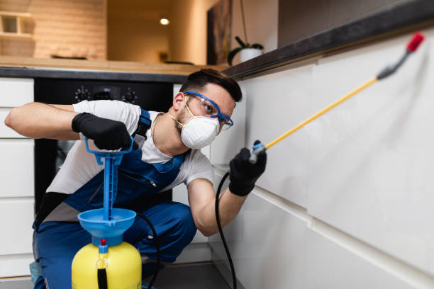 Best Pest Inspection Near Me  in Woodward, IA