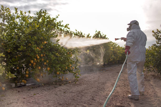 Best Flea Control Services  in Woodward, IA