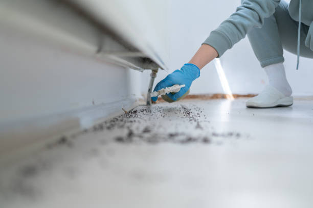 Best Best Pest Control Companies  in Woodward, IA